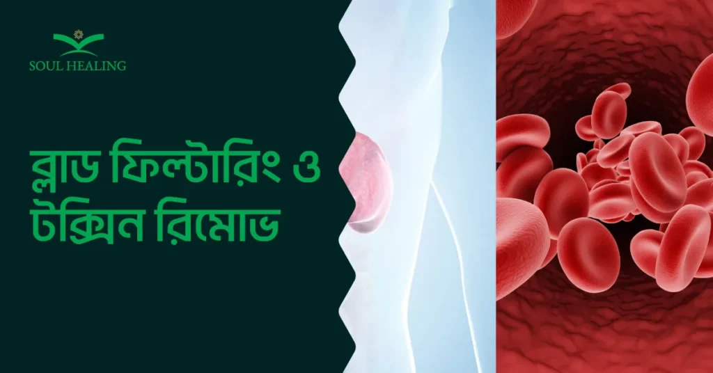 ব্লাড ফিল্টারিং ও টক্সিন রিমুভ