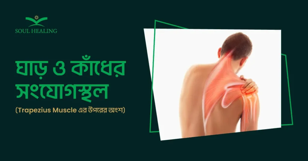 ঘাড় ও কাঁধের সংযোগস্থল