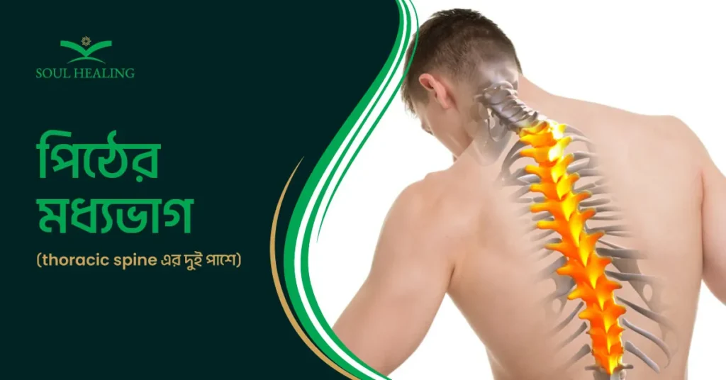 পিঠের মধ্যভাগ